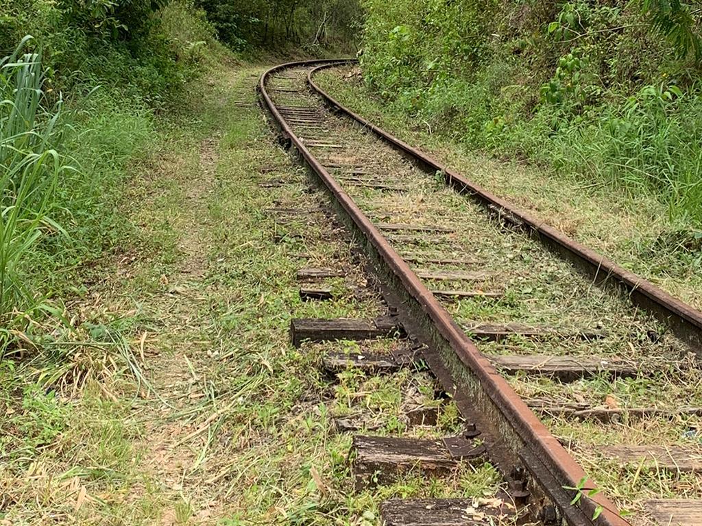 Equipe da Prefeitura realiza limpeza dos trilhos da ferrovia de acesso à ponto turístico de Vargem Alta