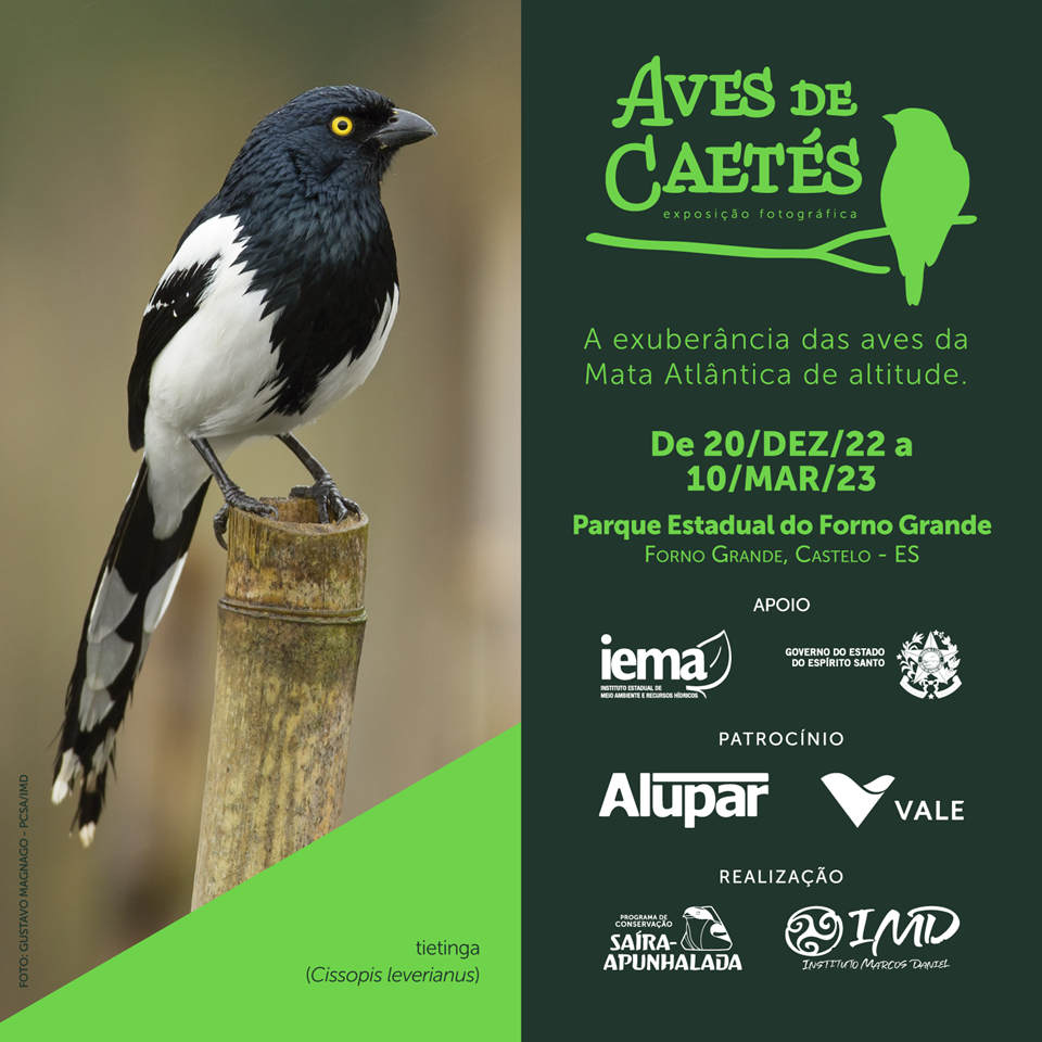 Exposição ‘Aves de Caetés’ segue em exibição no Parque Estadual do Forno Grande até sexta-feira (10)