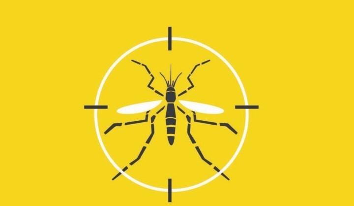 Boletins da dengue, chikungunya e Zika serão publicados diariamente
