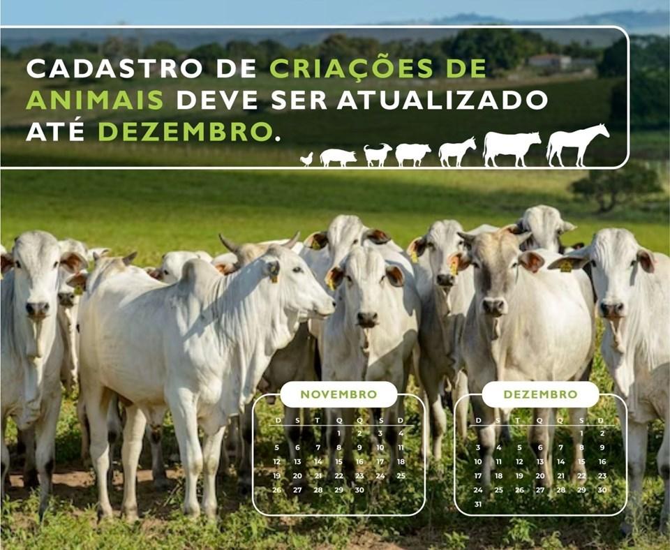 Criações de animais devem ser atualizadas até dezembro no Espírito Santo