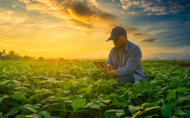 Aplicações de crédito rural no Espírito Santo seguem em alta no Plano Safra 2023/2024