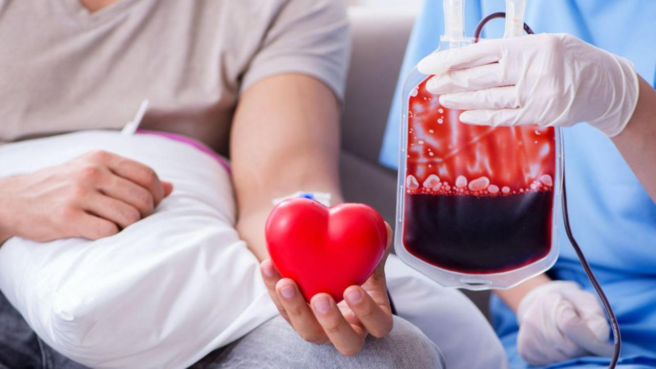 Grupo de Voluntários da Unimed Sul Capixaba realiza doação de sangue coletiva