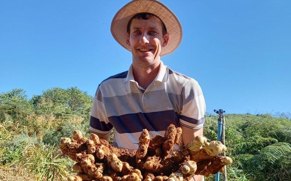 Produtor capixaba de gengibre exporta diretamente para empresa neerlandesa