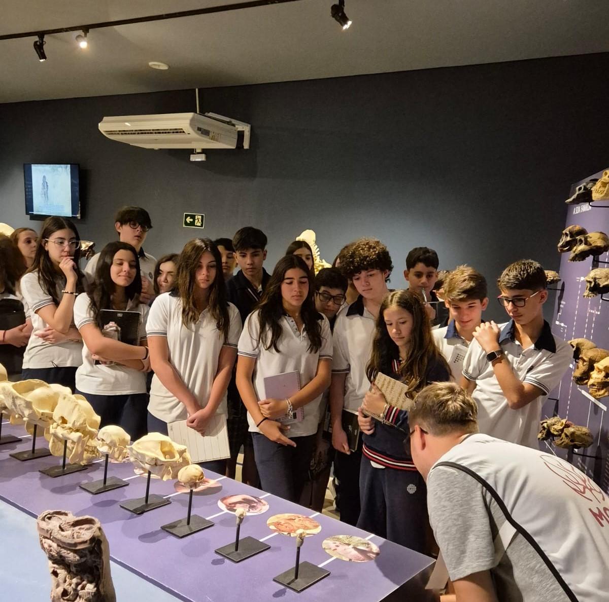 Escola torna ensino da Matemática mais atrativo usando a Medicina