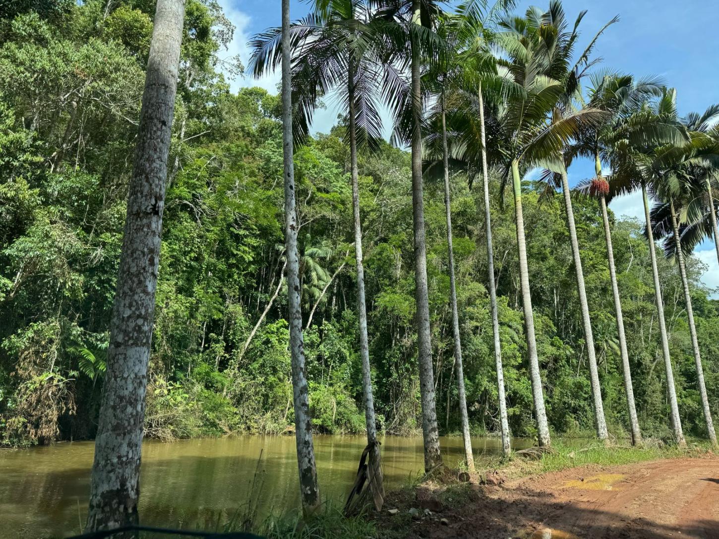 Corrida das Águas e dos Verdes bate recorde de inscritos e chega à reta final das inscrições