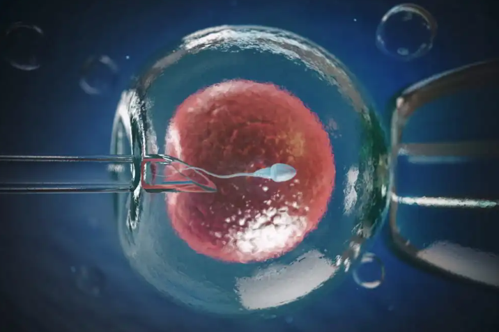 Brasil lidera tratamentos de Fertilização in Vitro e quebra tabus sobre fertilidade