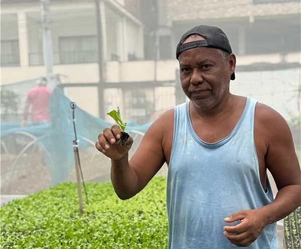 Venda de mudas e hortaliças movimenta pequeno lote no bairro Macrina