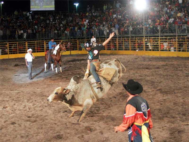 Confira a programação da 29ª Festa do Clube do Cavalo