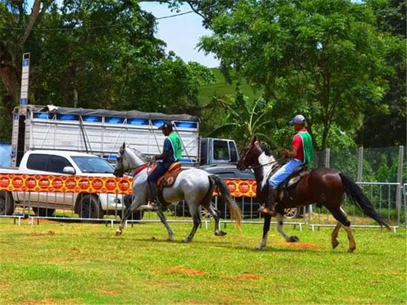 Exposição em Alfredo Chaves vai reunir os cavalos mais premiados do Brasil