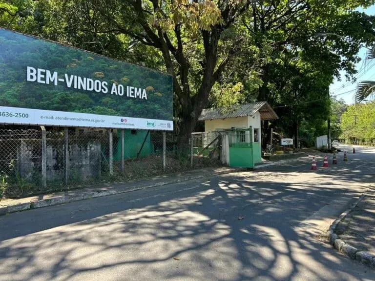 Iema abre inscrições com salário de R$ 5.589  — veja como participar