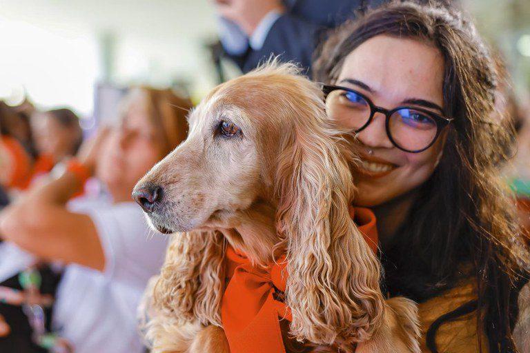 Mais de 620 mil animais já têm RG. Veja como cadastrar seu pet no SinPatinhas
