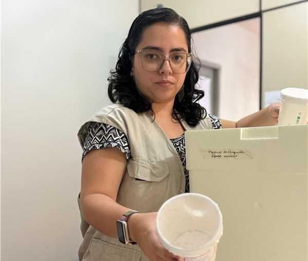 Pesquisa no ES avança e pode mudar combate ao maruim no Brasil: Fiocruz lidera ofensiva contra inseto que transmite Oropouche