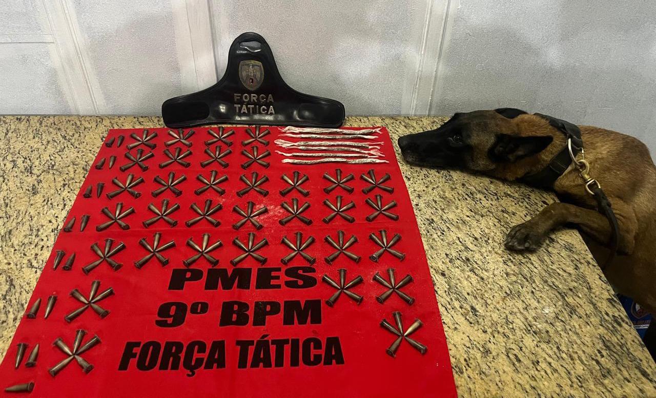 Cão policial Kiara ajuda PM a localizar drogas em Cachoeiro