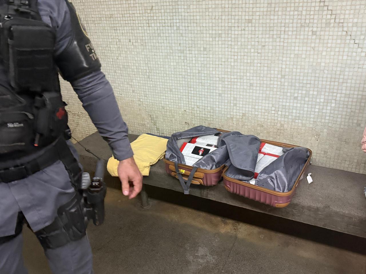 Droga na bagagem: maconha vinda do RJ é apreendida na rodoviária de Cachoeiro