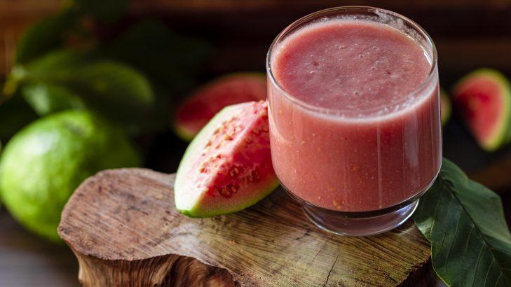 Livro sobre produção de goiaba traz avanços para o campo e reforça renda do produtor rural