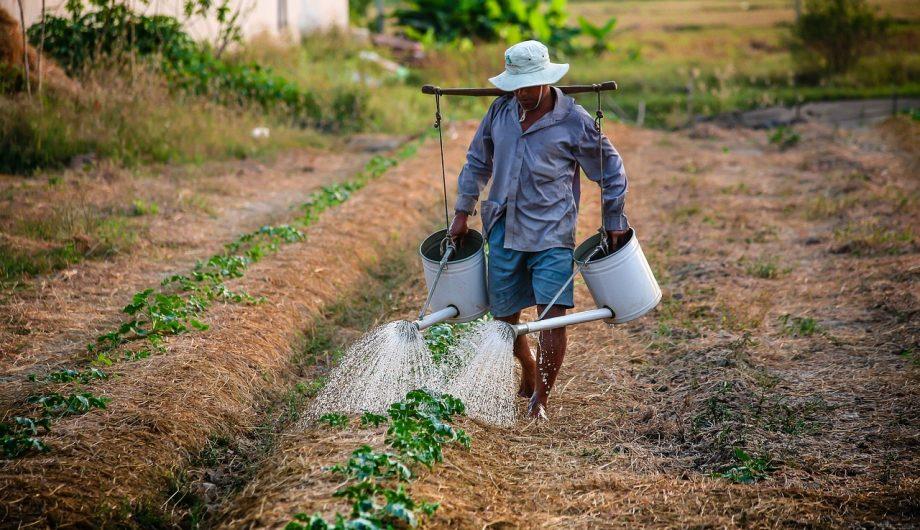 Cachoeiro celebra Dia do Agricultor com palestras e confraternização