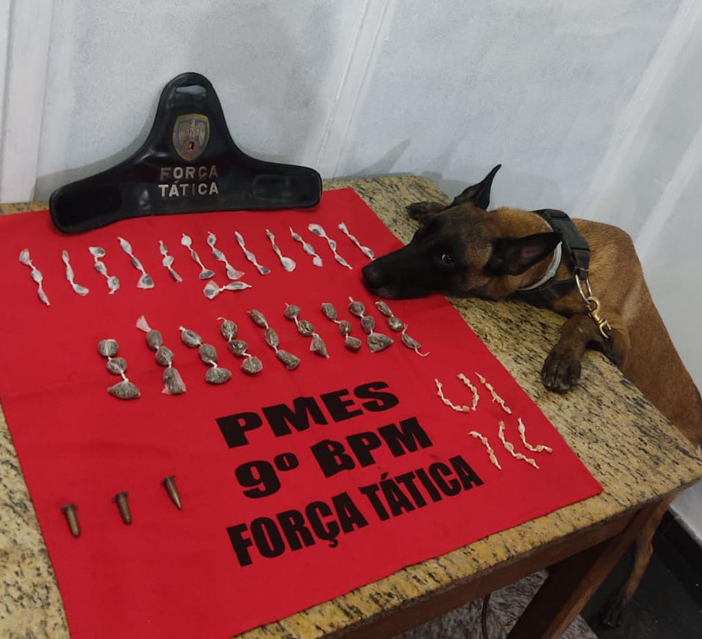 Cão farejador da PM encontra drogas escondidas em área de mata em Cachoeiro