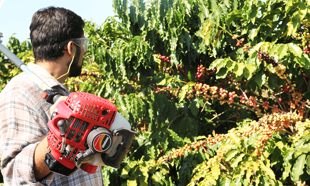 Curso gratuito capacita operadores de máquinas para cafeicultura em Vargem Alta