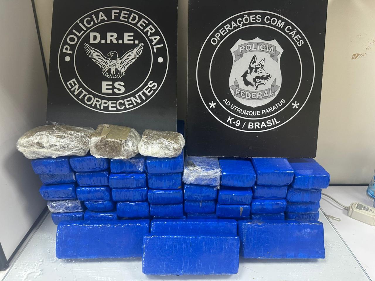Droga pelo Sedex? PF intercepta carga e prende suspeito no ES