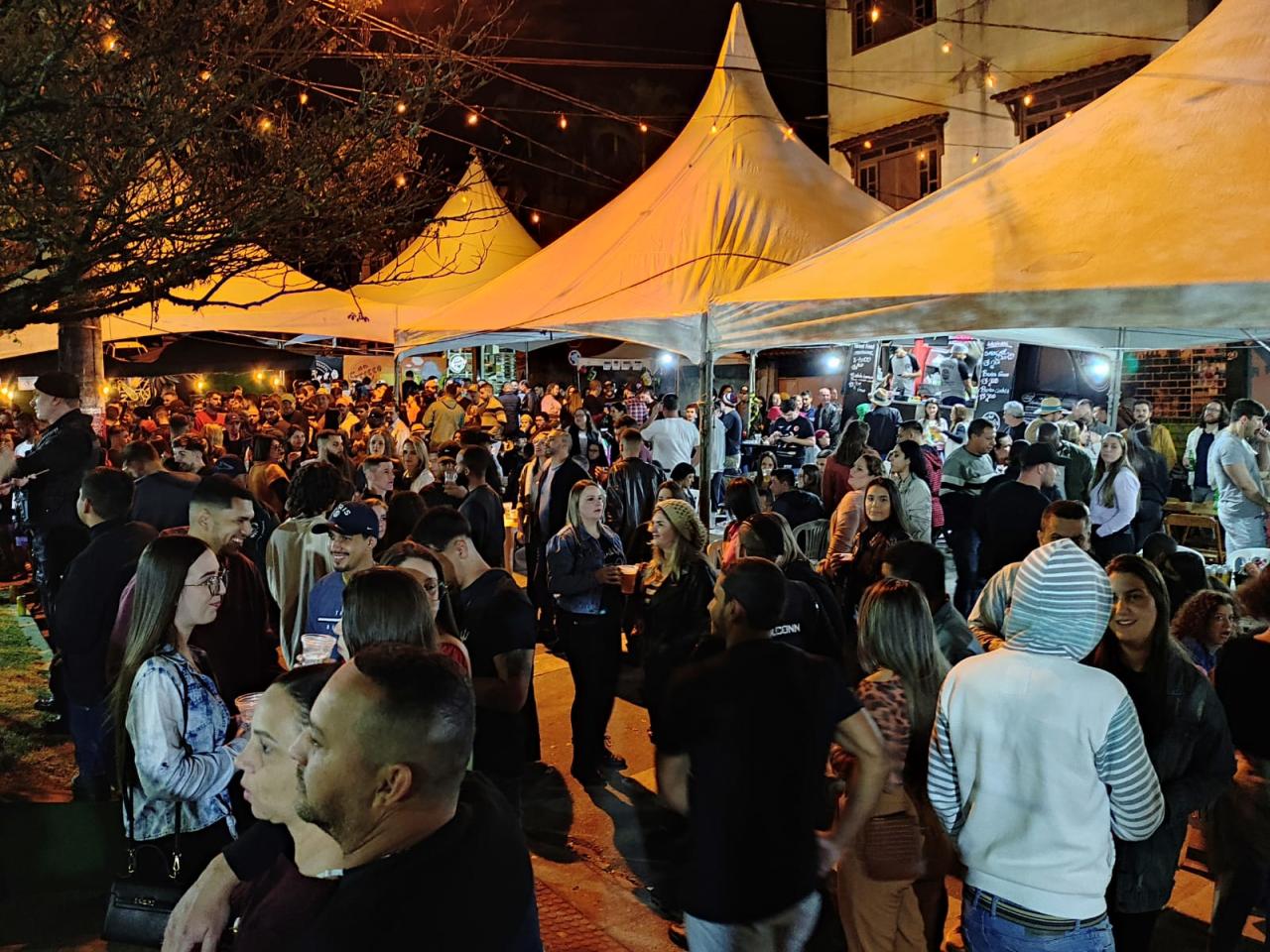 Rock, MPB e friozinho: Vargem Alta ferve com Festival de Inverno