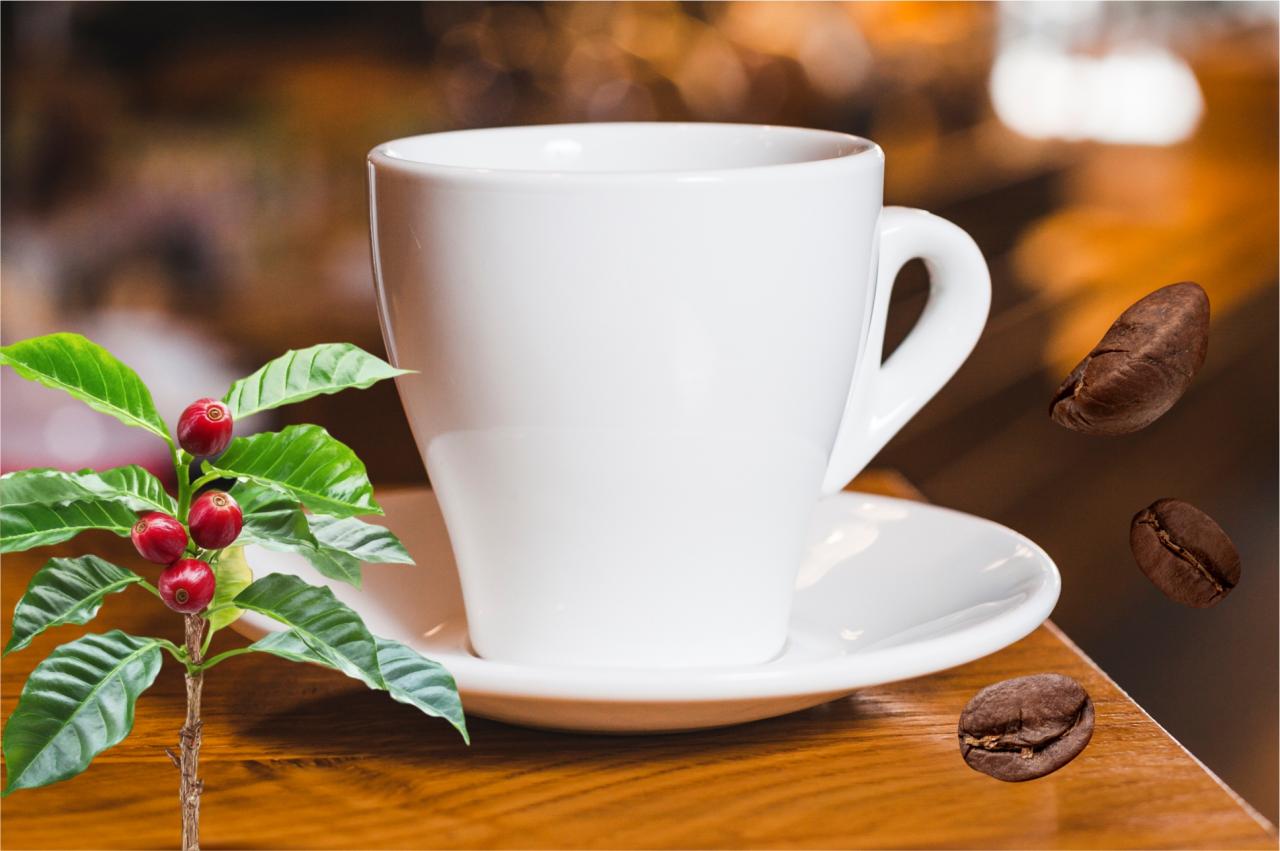 Vargem Alta abre chamada pública para compra de café arábica de produtores locais