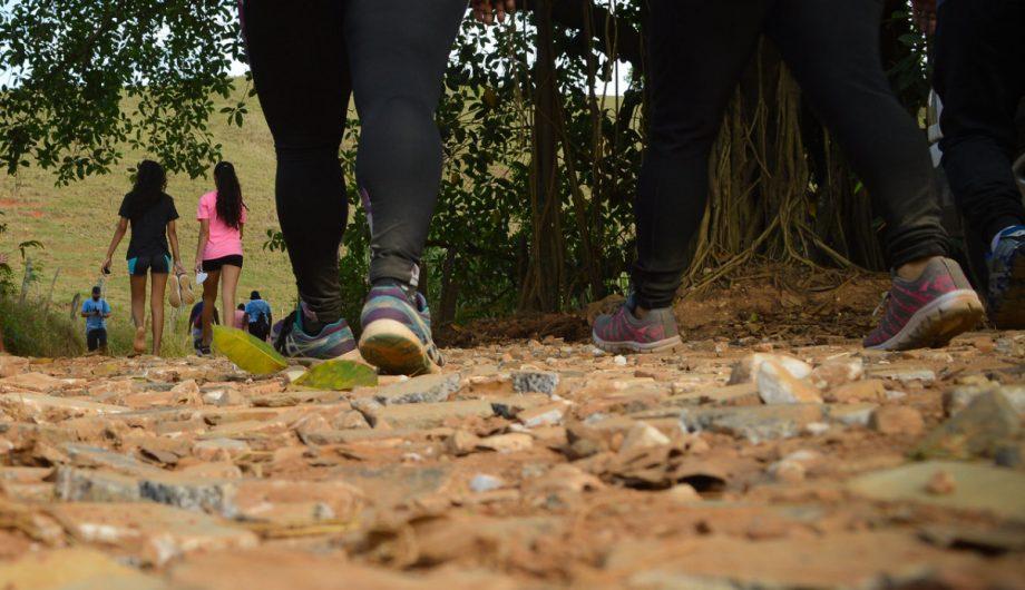 Vista de tirar o fôlego: inscrições abertas para a Caminhada Urbana ao Morro das Andorinhas