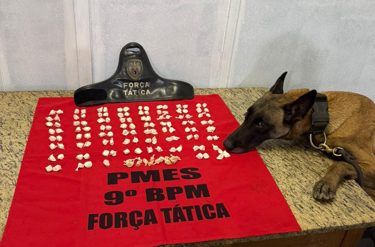 Cão da Força Tática encontra drogas em operação no bairro Valão, em Cachoeiro