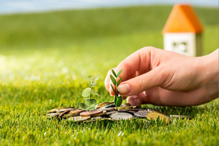 Protagonismo capixaba: ES inicia ano-safra com alta no crédito rural, na contramão do país