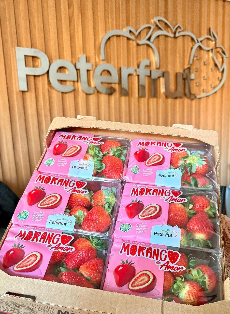 “Morango do Amor” capixaba: Peterfrut lança versão premium e promete conquistar o Brasil