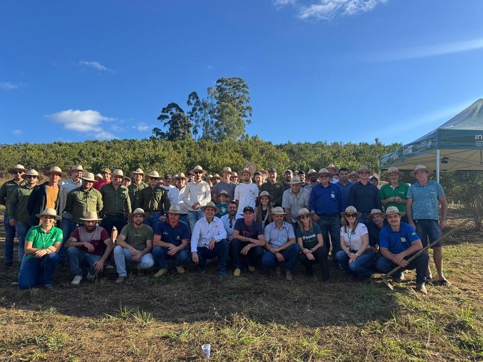 Tangerina em alta: Incaper reúne quase 200 produtores na serra capixaba