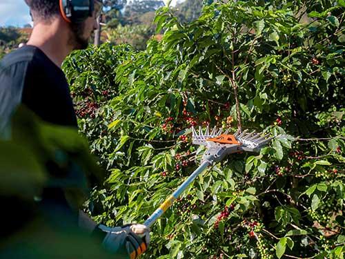Vargem Alta abre curso gratuito sobre operação de equipamentos agrícolas usados no cultivo de café