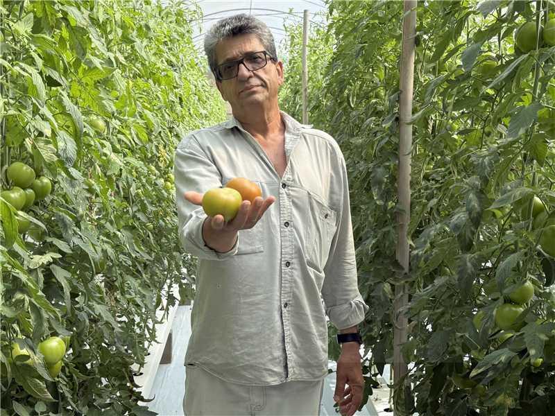 Prefeitura de Alfredo Chaves lança série Alfredo Rural no Instagram