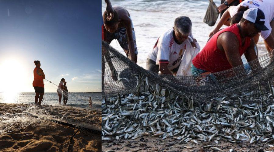 Semana do Pescado 2025 incentiva consumo e valoriza pescadores capixabas
