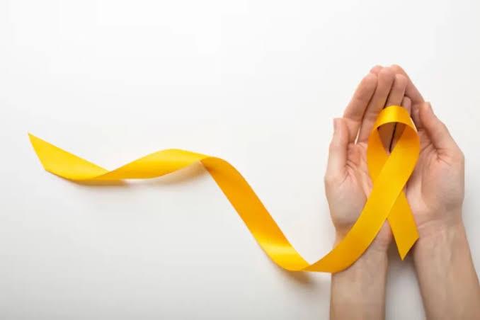 Três cores, um propósito: saúde mental, inclusão e cidadania em foco em Cachoeiro