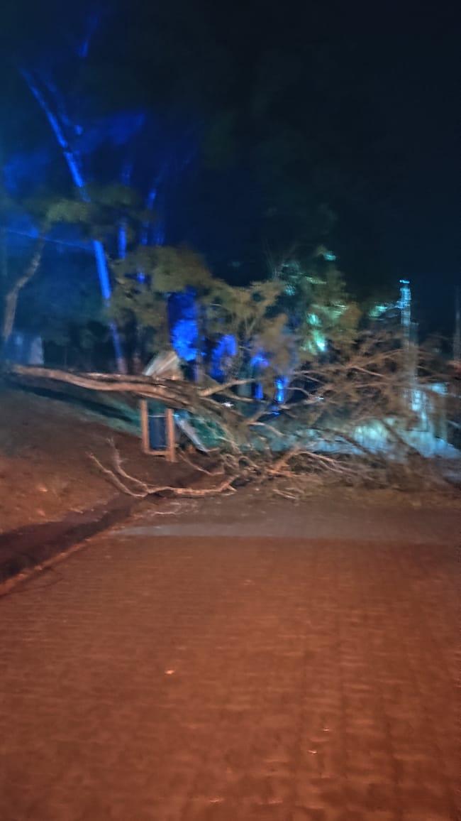 Árvore cai e bloqueia acesso em frente à igreja católica de São João, em Vargem Alta