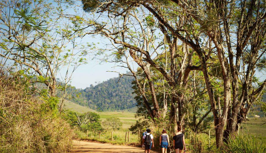Cachoeiro realiza oficina sobre crédito rural e diversificação agrícola nesta quinta