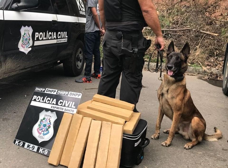 Polícia Civil do Espírito Santo presta homenagem a Zack, o primeiro cão do Departamento de Homicídios e Proteção à Pessoa