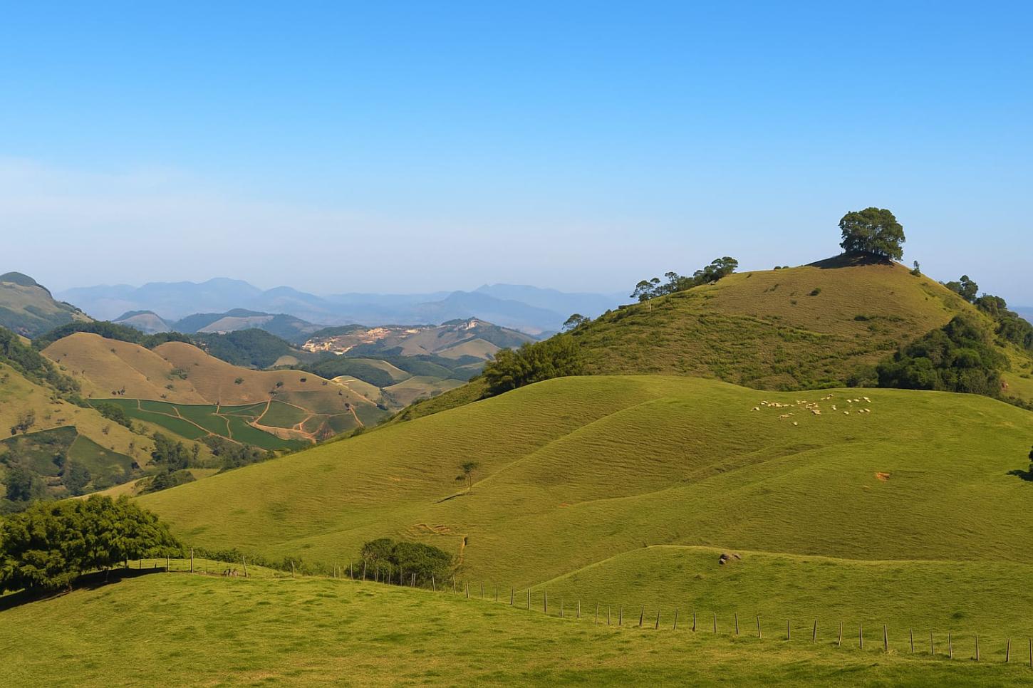 7 lugares para matar a fome (e se apaixonar) em Vargem Alta