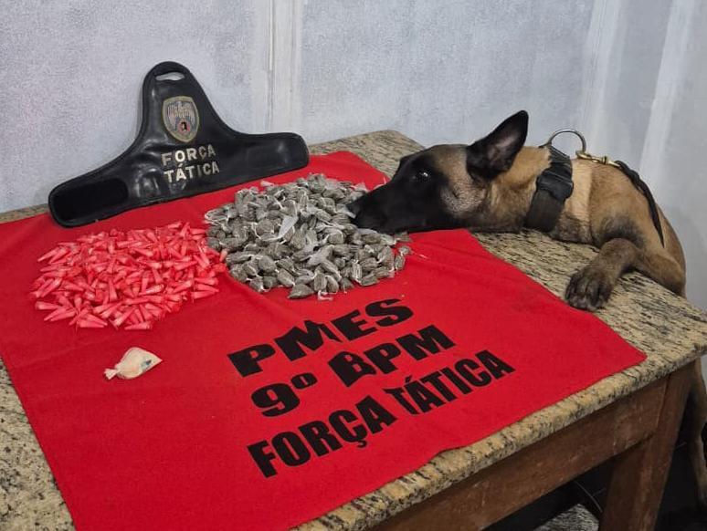 K9 Kiara encontra quase 600 porções de drogas em ponto de tráfico no bairro Zumbi, em Cachoeiro