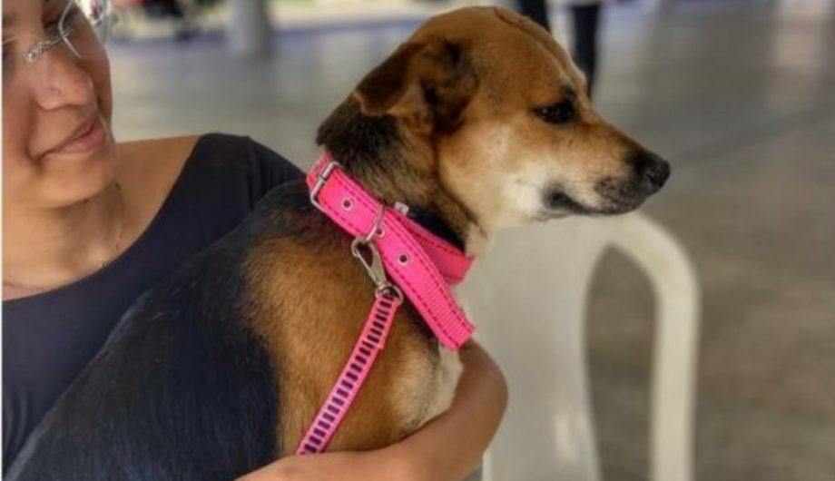 Publicada lei que atualiza política de cooperativismo no ES