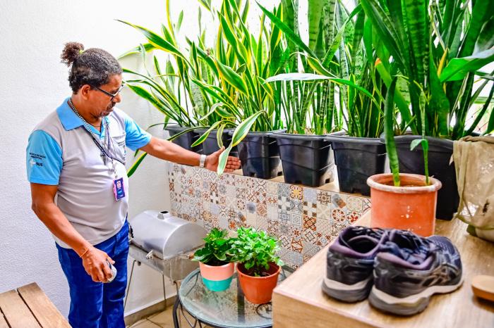 Combate à dengue: prevenção deve ser reforçada durante o verão em Vitória