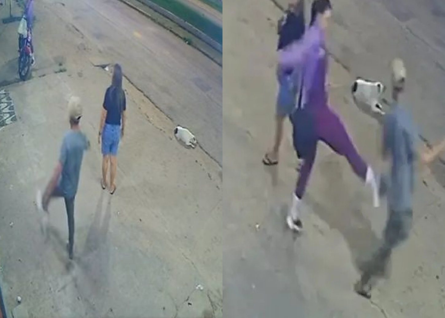Homem chuta gato na rua e mulher reage com cadeirada no Pará