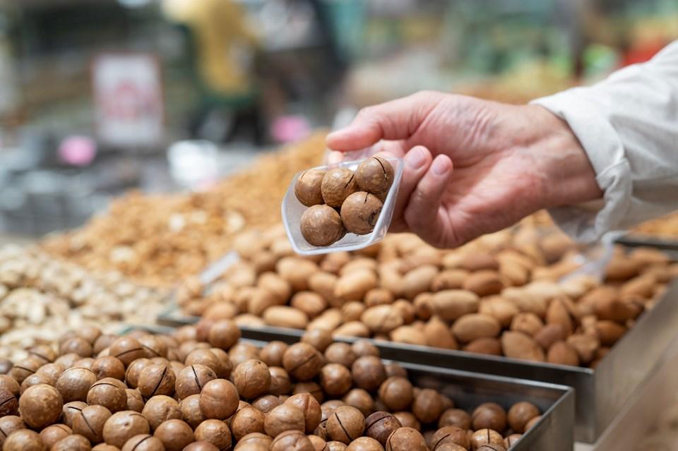 Macadâmia capixaba cresce em produtividade e consolida espaço no mercado internacional