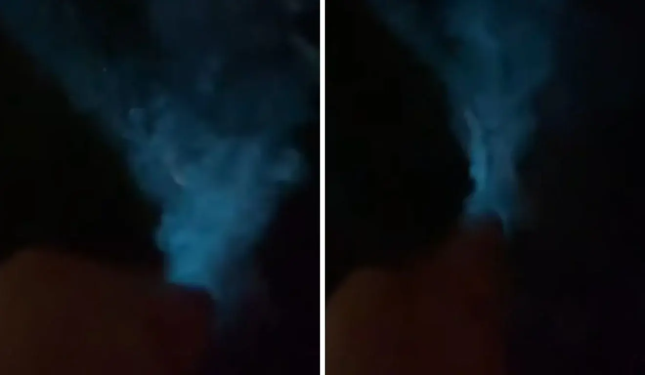 Mar que brilha: fenômeno bioluminescente encanta turistas em Vitória, mas acende alerta ambiental