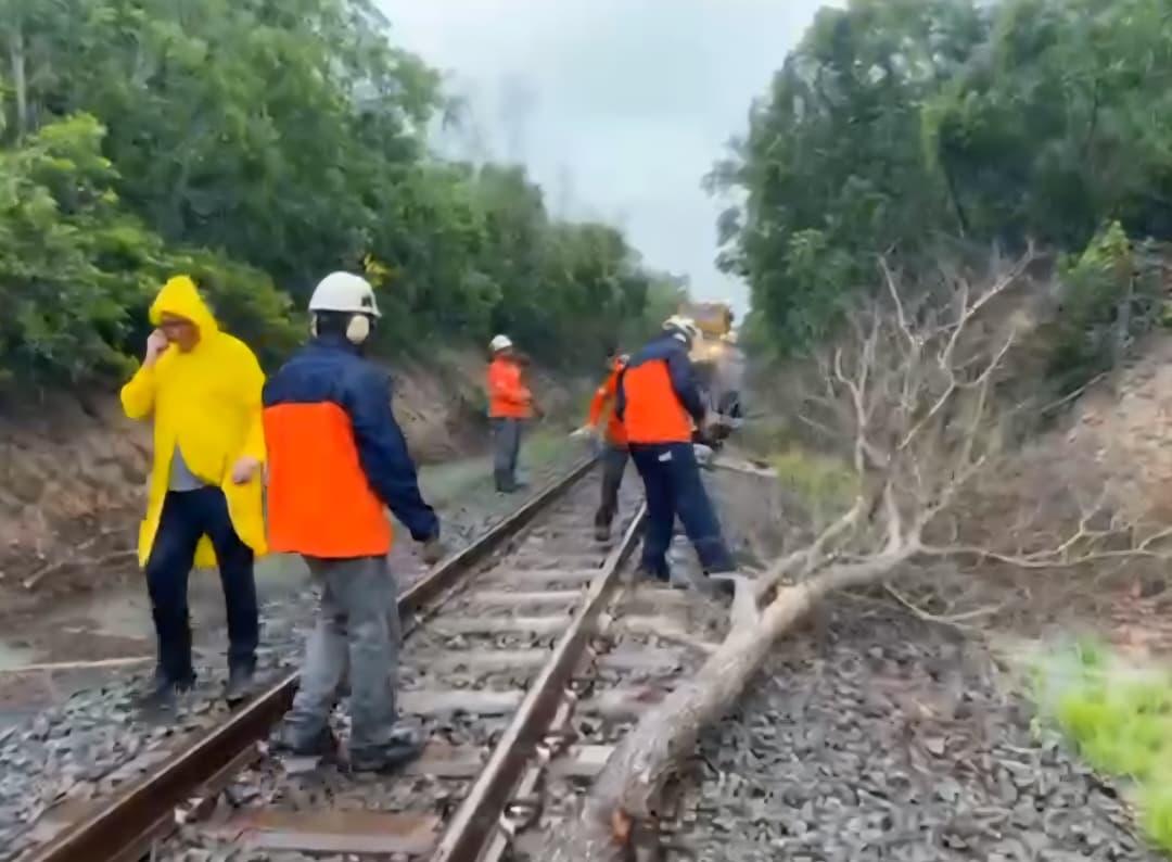 Polícia Federal cumpre ordem judicial e desobstrui Ferrovia Vitória-Minas em Aracruz