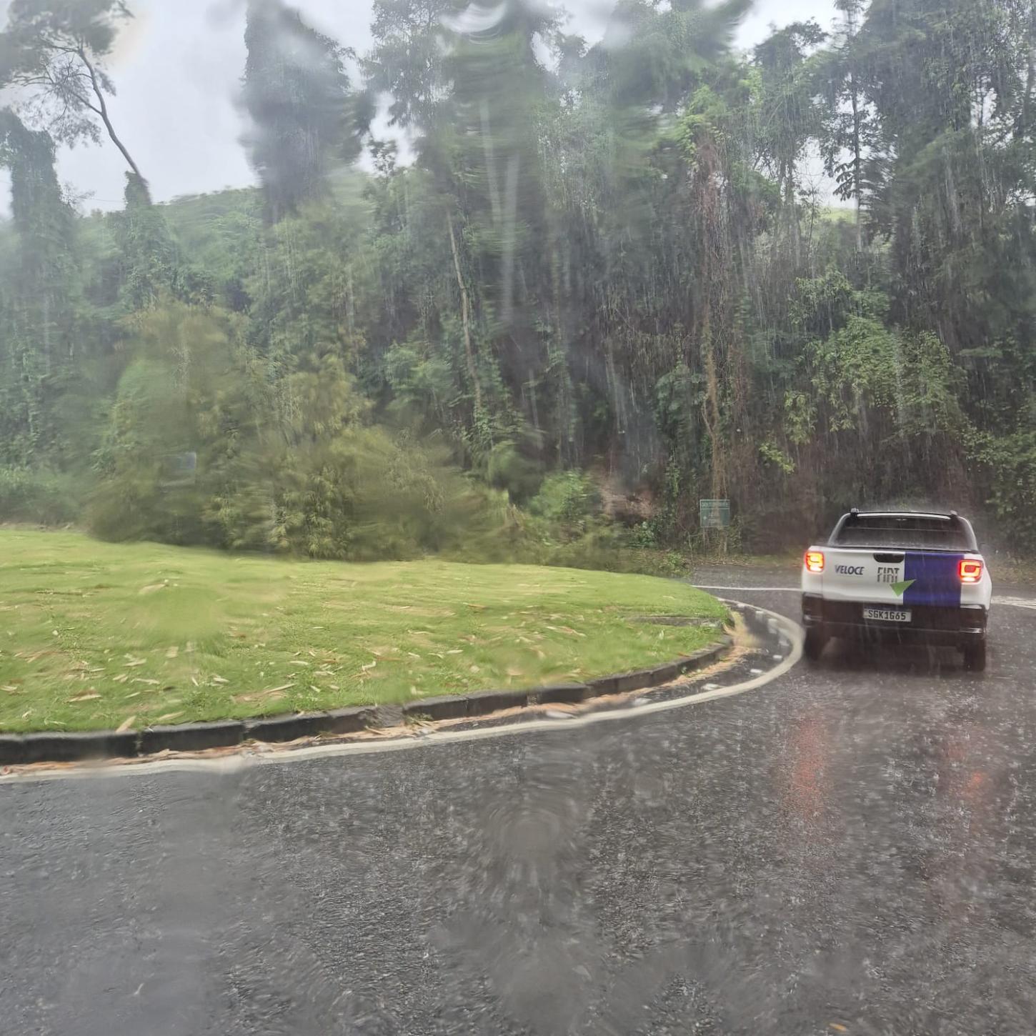 Árvore cai no trevo de Jaciguá e interrompe acesso entre Vargem Alta e Cachoeiro