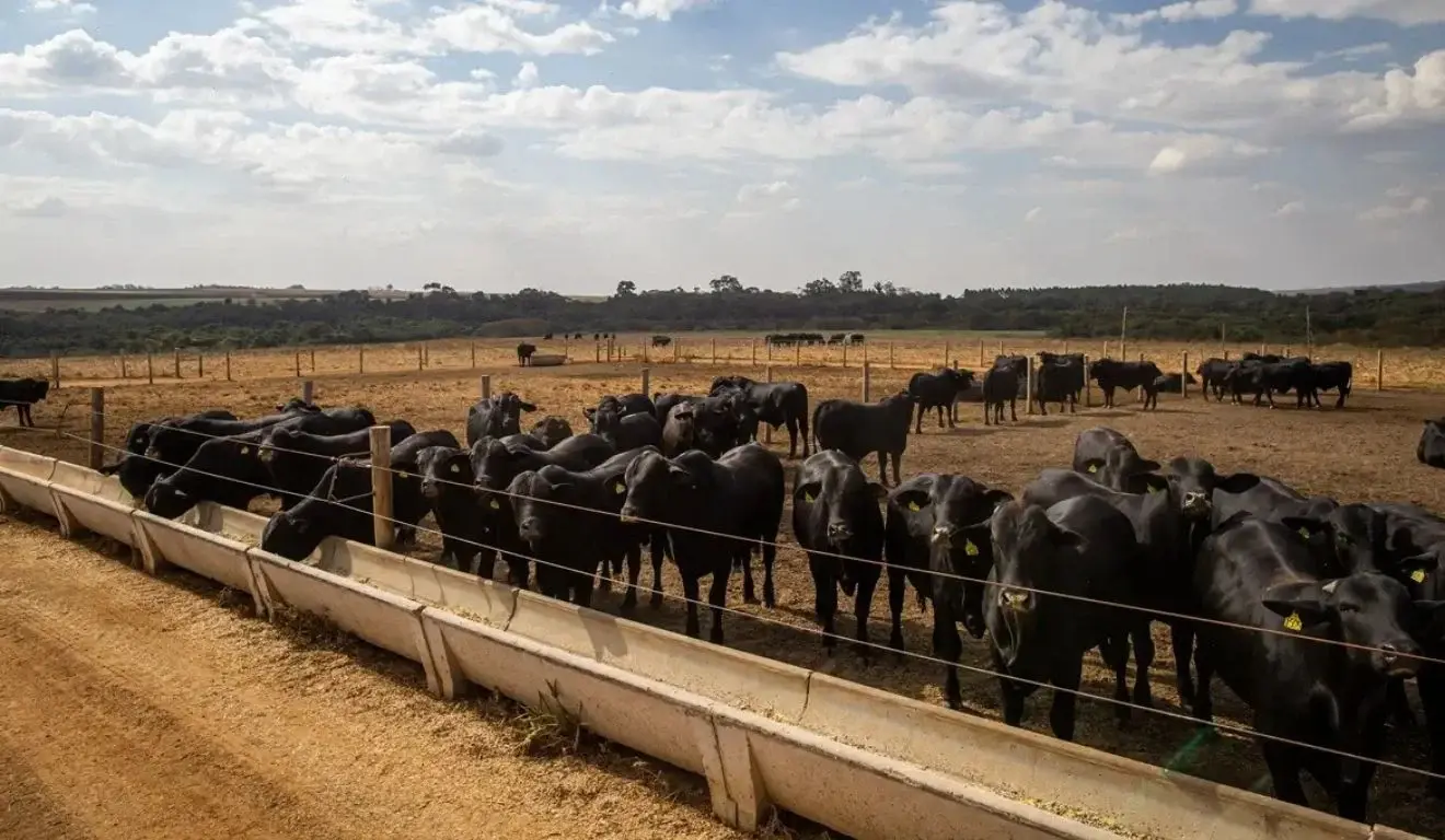 Economia brasileira cresce 2,5% em 2025, impulsionada pela agropecuária e serviços
