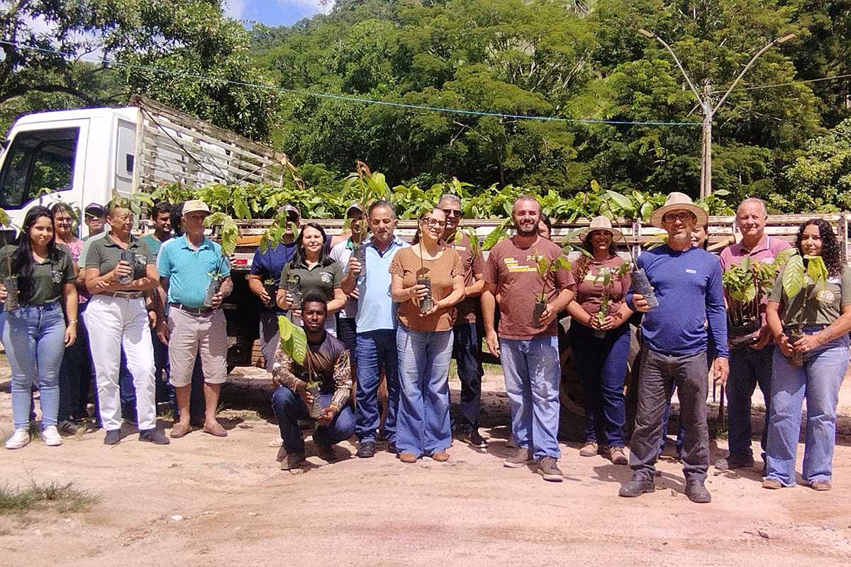 Cacau na serra: Conceição do Castelo recebe 3 mil mudas e aposta na diversificação rural