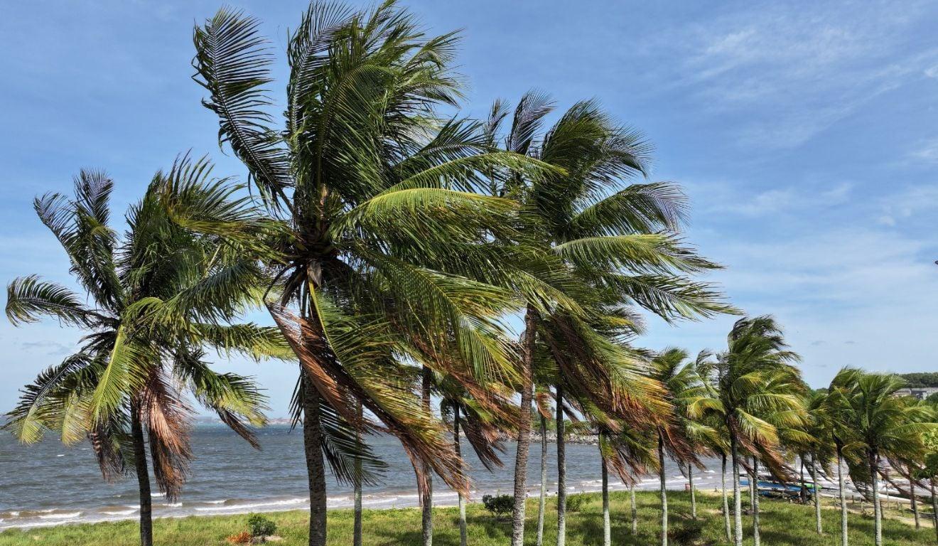 Feriado com sol e virada no tempo: frente fria muda cenário no domingo no ES