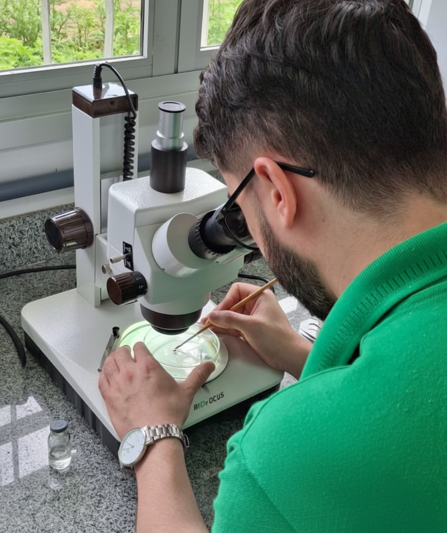 Incaper convoca novos servidores e reforça atuação no campo capixaba